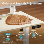 Bureau Debout Électrique Ergonomique, Bureau d'Ordinateur, Table Réglable en Hauteur avec Port USB