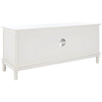 Meuble TV/multimédia 2 portes 2 étagères avec rangement – 47x16x20 po, 4 options de couleur